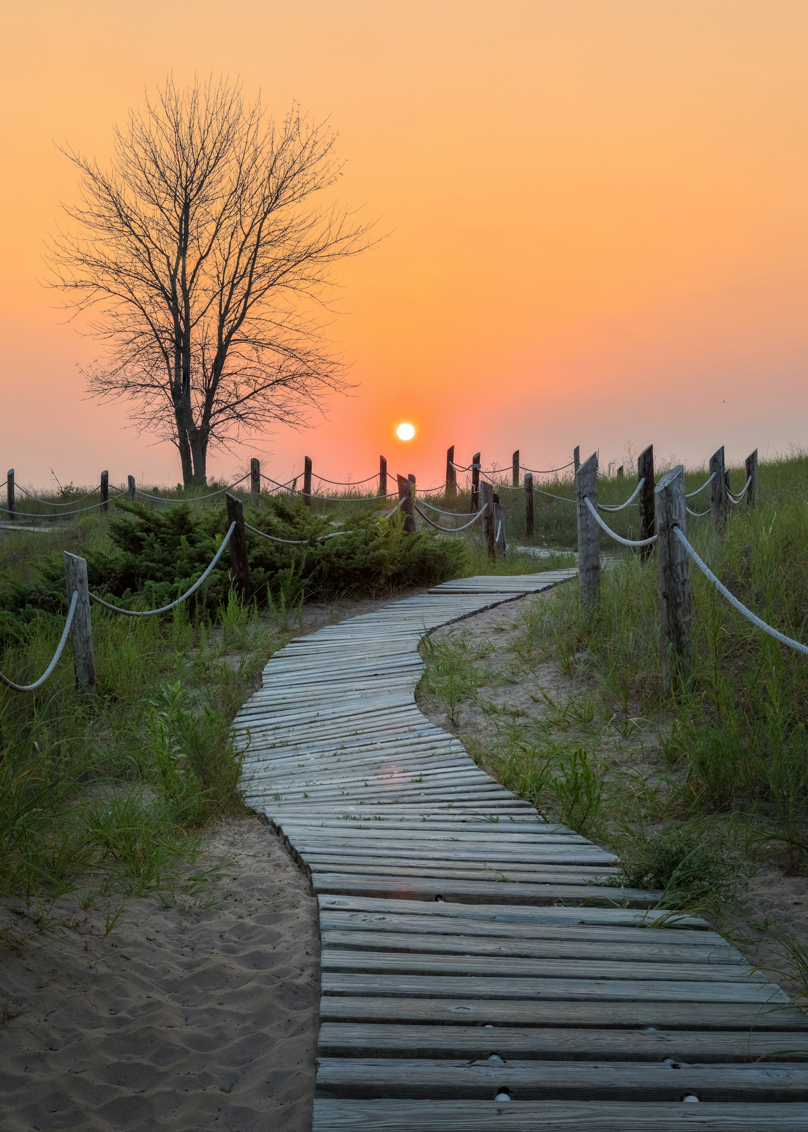 Wooden pathway through a grass field at sunset